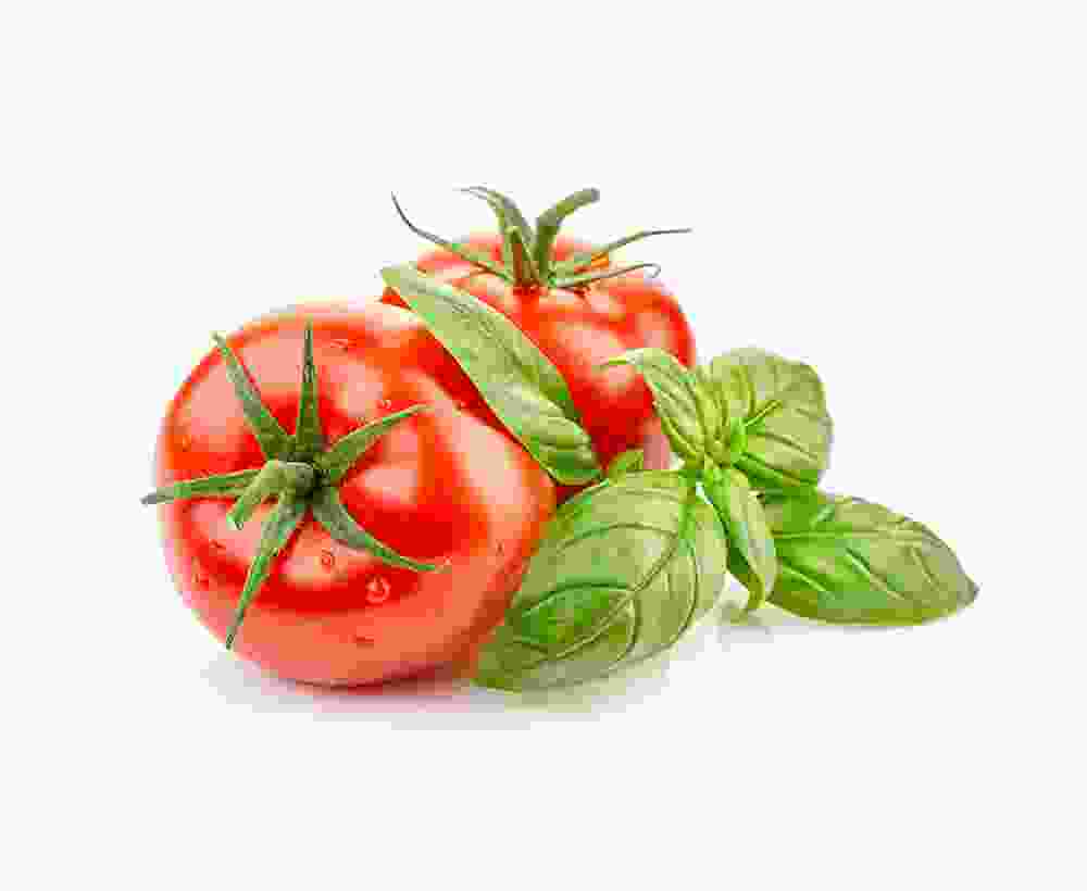 Shop Secondary Image Shop Secondary Image