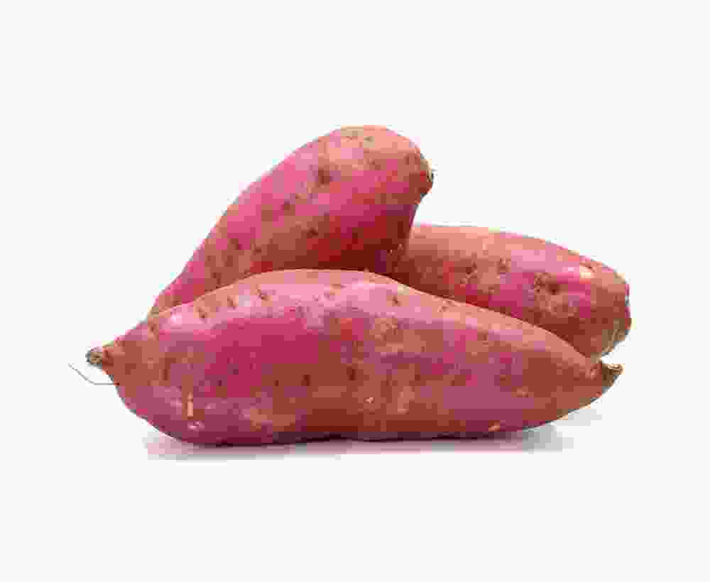 Shop Primary Image Shop Primary Image