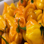 Cameroon Pepper Yellow