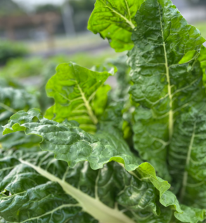 Shop Primary Image Shop Primary Image