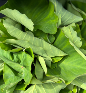 Shop Primary Image Shop Primary Image