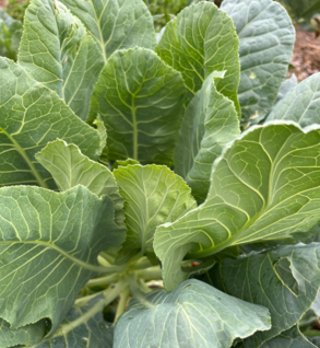 Shop Primary Image Shop Primary Image