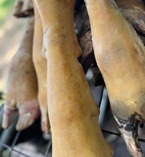 Shop Primary Image Shop Primary Image