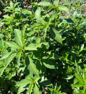 Shop Primary Image Shop Primary Image