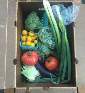 Shop Primary Image Shop Primary Image