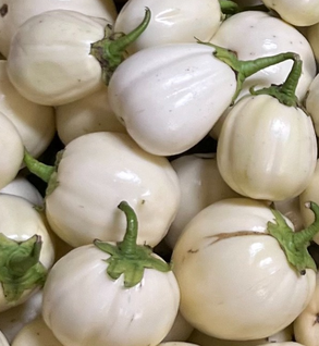 Shop Primary Image Shop Primary Image