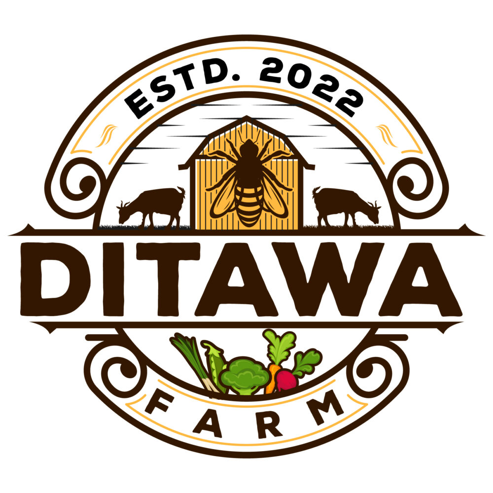 Shop Primary Image Shop Primary Image